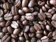 /album/fotogalerie-fotogalerie/zrnka-kavy-jpg/
